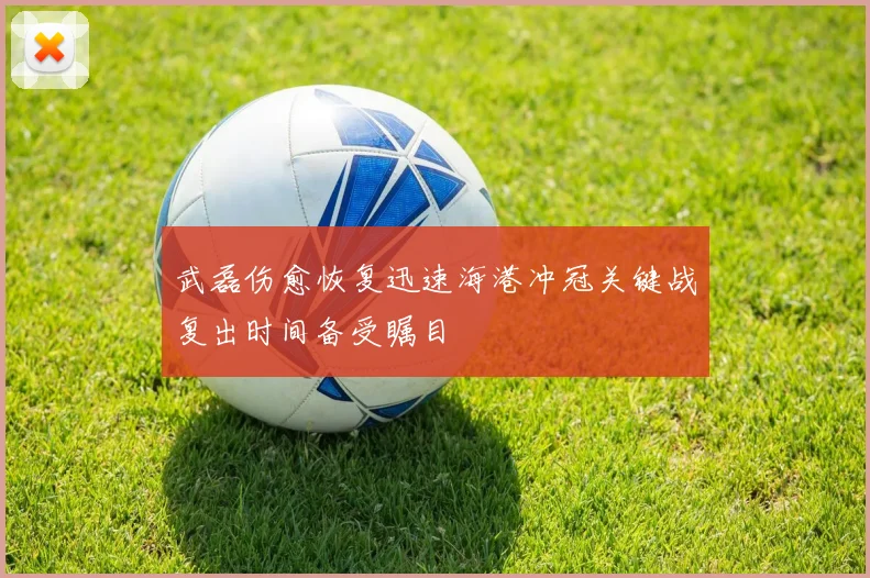武磊伤愈恢复迅速海港冲冠关键战复出时间备受瞩目