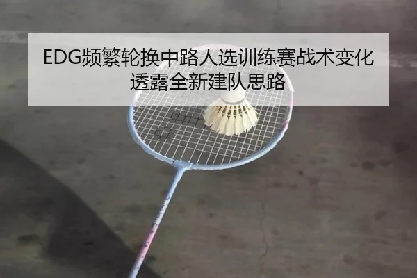 EDG频繁轮换中路人选训练赛战术变化透露全新建队思路