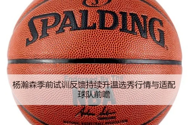 杨瀚森季前试训反馈持续升温选秀行情与适配球队前瞻